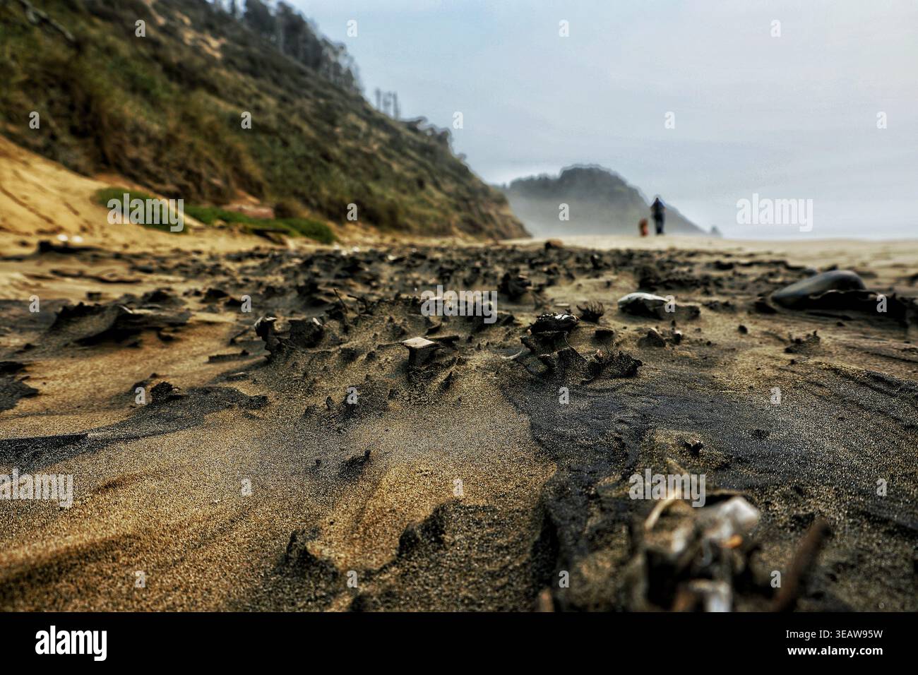 Vue en bas angle des motifs complexes de sable sur une plage brumeuse de l'Oregon le long de la piste Hobbit Banque D'Images