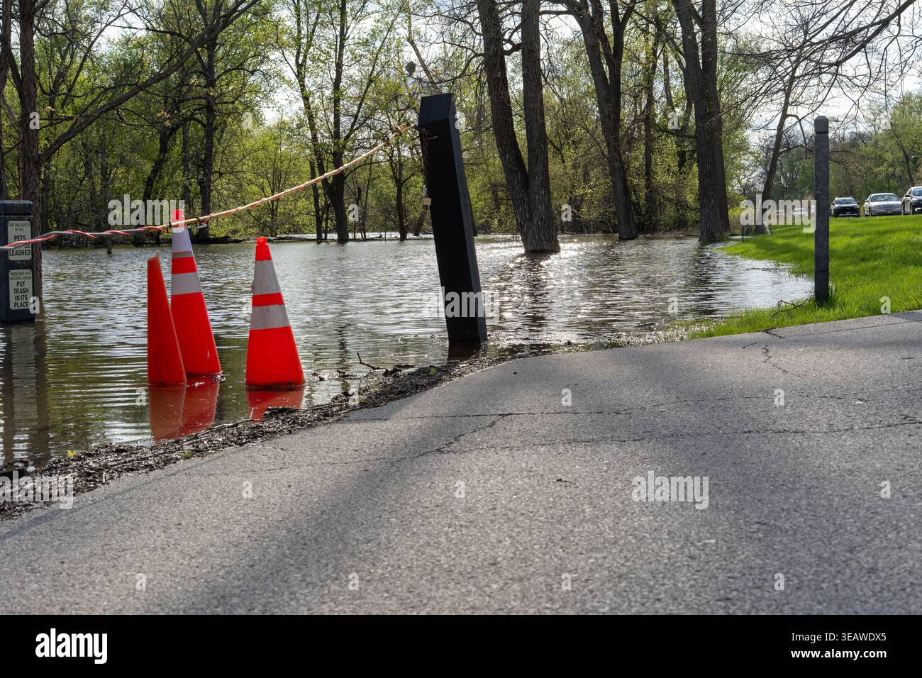 Le sentier et la route du parc ont été inondés après de fortes pluies avec des cônes orange de circulation et une barrière de marquage de l'accès restreint, l'eau couvrant le sol et les arbres à l'intérieur Banque D'Images