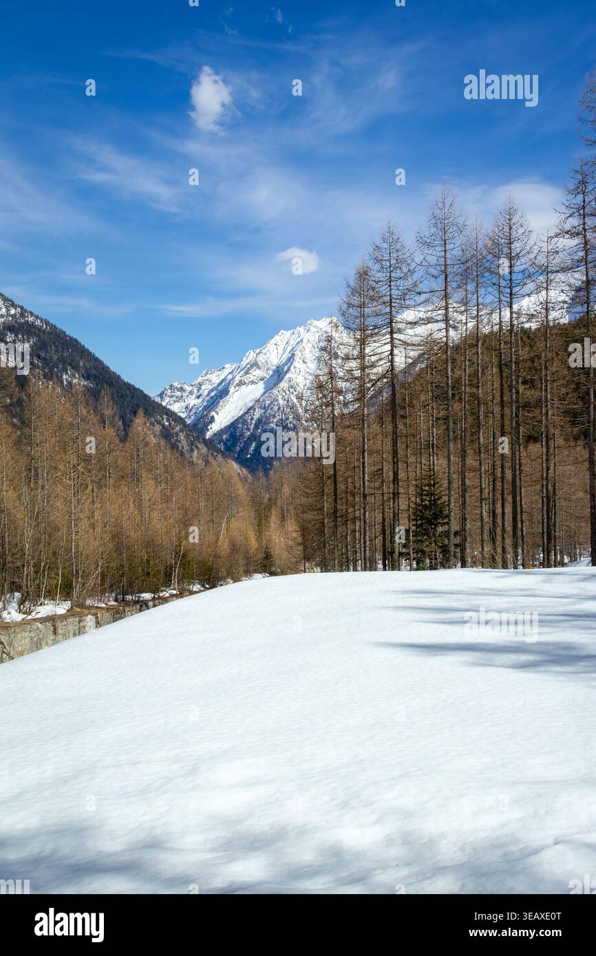 Vue hivernale du village de Macugnaga (Piémont, Alpes du Nord de l'Italie) Banque D'Images