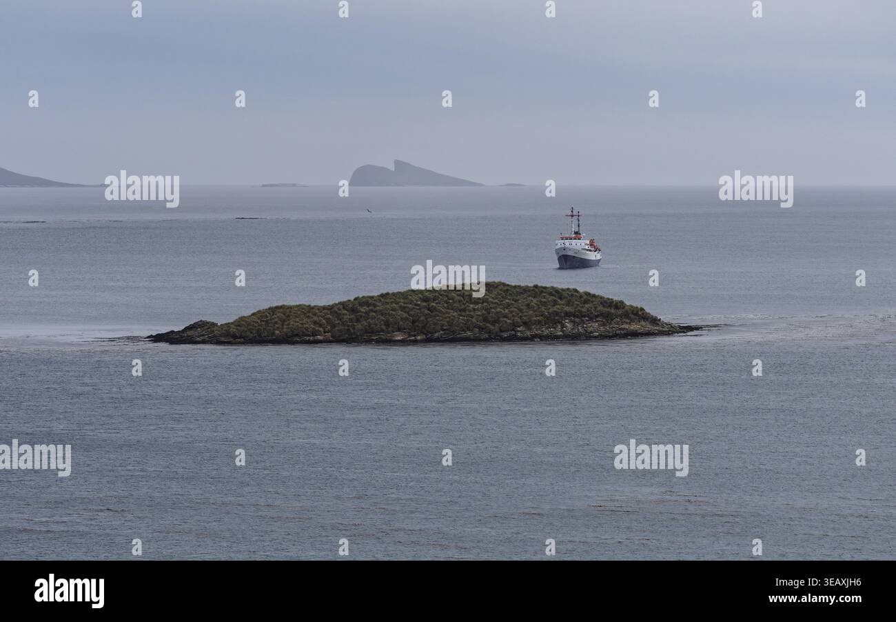 Navire d'expédition devant une petite île recouverte d'herbe tussock, formation rocheuse dans le brouillard en arrière-plan, île Carcass, îles Falkland Banque D'Images