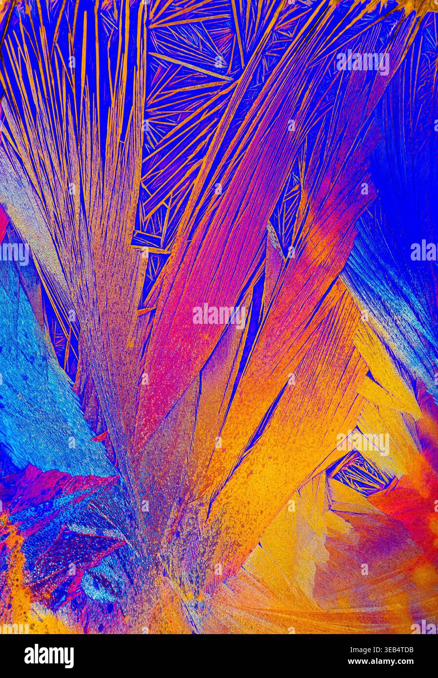 Vue microscopique de cristaux d'acétate de sodium formant des motifs vifs et irisés—une explosion abstraite de couleur révélant des microstructures complexes. Banque D'Images