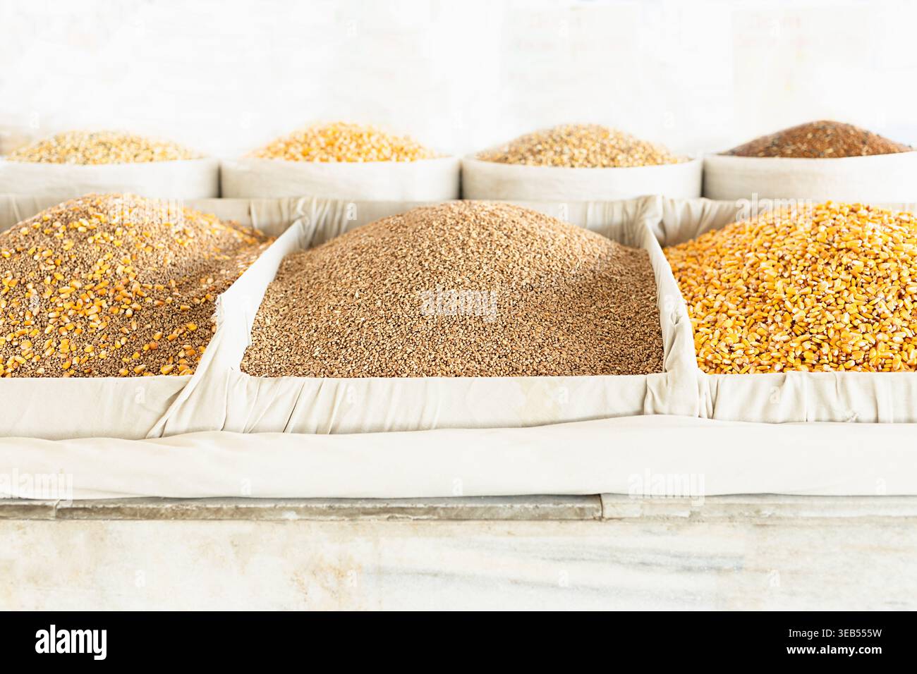 Grains en vrac et céréales - blé, maïs exposé dans des bacs au bazar de Siab à Samarkand. Variétés de maïs, de sarrasin et de millet entassées pour la vente chez un tradit Banque D'Images