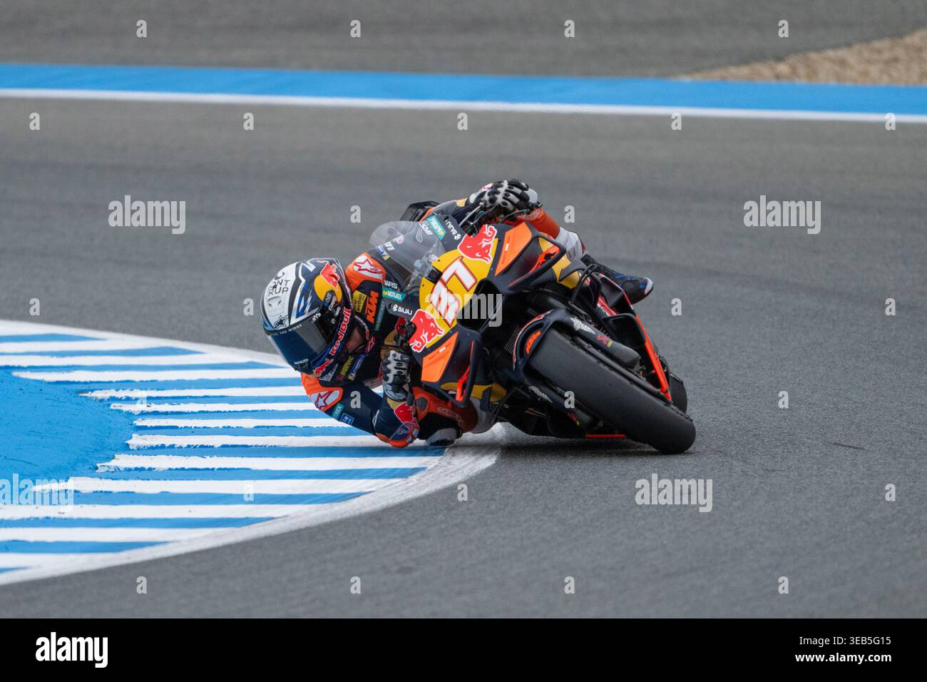 Jerez de la Frontera, Espagne. 24 avril 2026. Pilote #37 Pedro Acosta (Red Bull KTM Factory Racing) lors des essais libres MotoGP 1 session au Estrella Galicia 0,0 Grand Prix d'Espagne 2026 au Circuito de Jerez Angel Nieto. Banque D'Images