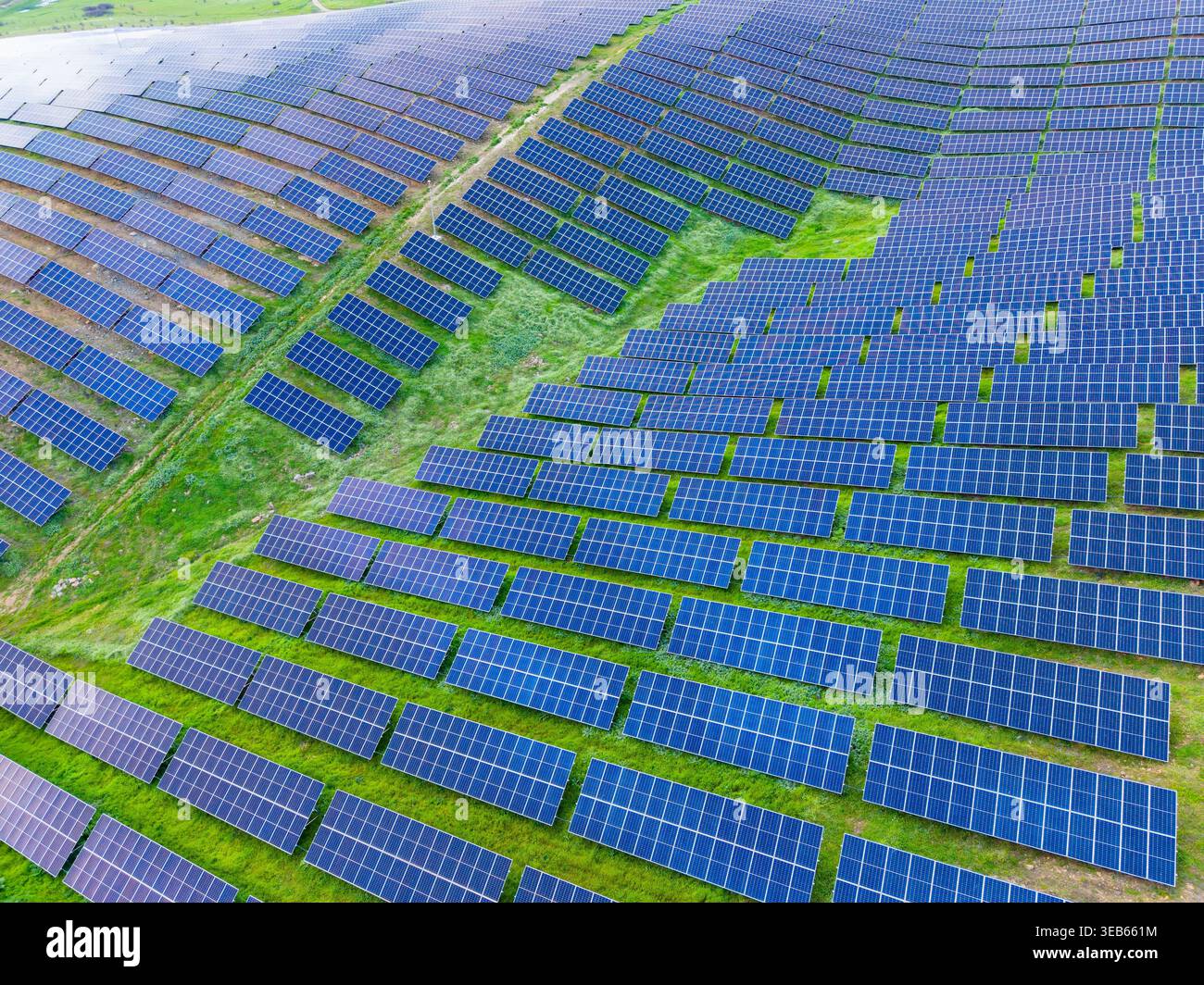 Les panneaux solaires couvrent une large surface de terrain, disposés en rangées soignées. La scène montre de l'herbe verte entre les panneaux solaires sous un ciel bleu clair. Banque D'Images