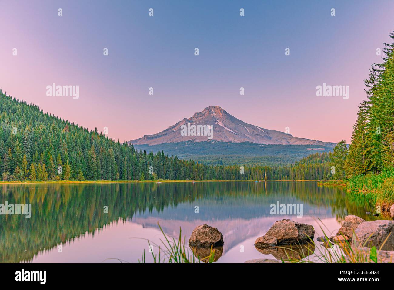 Le pic du Mont Hood se reflète dans les eaux calmes du lac Trillium avec forêt à feuilles persistantes et ciel rose-violet lever de soleil dans l'Oregon Banque D'Images