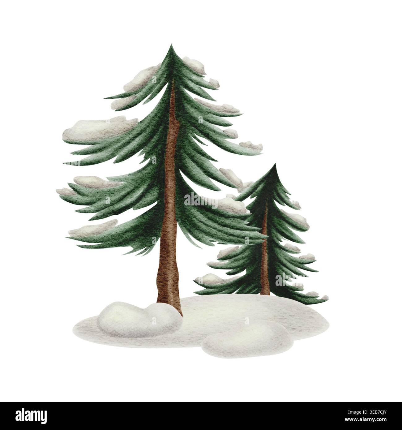 Arbres à feuilles persistantes couverts de neige dans une forêt. Aquarelle illustration hivernale de la nature et des pins. Banque D'Images