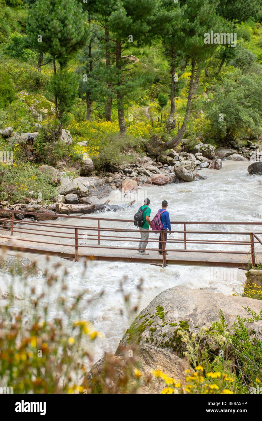 Deux randonneurs vêtus de sac à dos traversent soigneusement un pont en bois robuste, enjambant une rivière de montagne à débit rapide, entouré par le foli vert vibrant Banque D'Images
