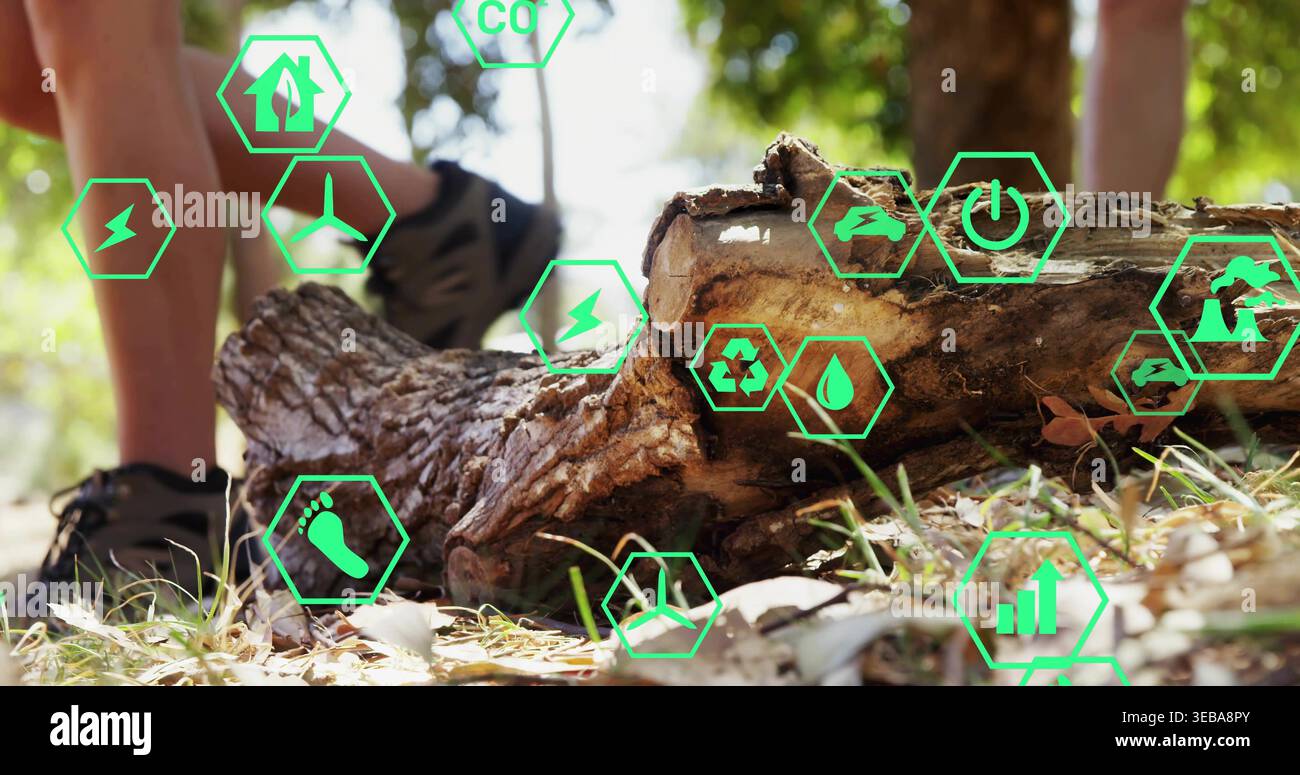 Mise en valeur de la bûche délabrée tombée sur le sol en bordure de forêt, avec des icônes et des baskets AR ECO Banque D'Images