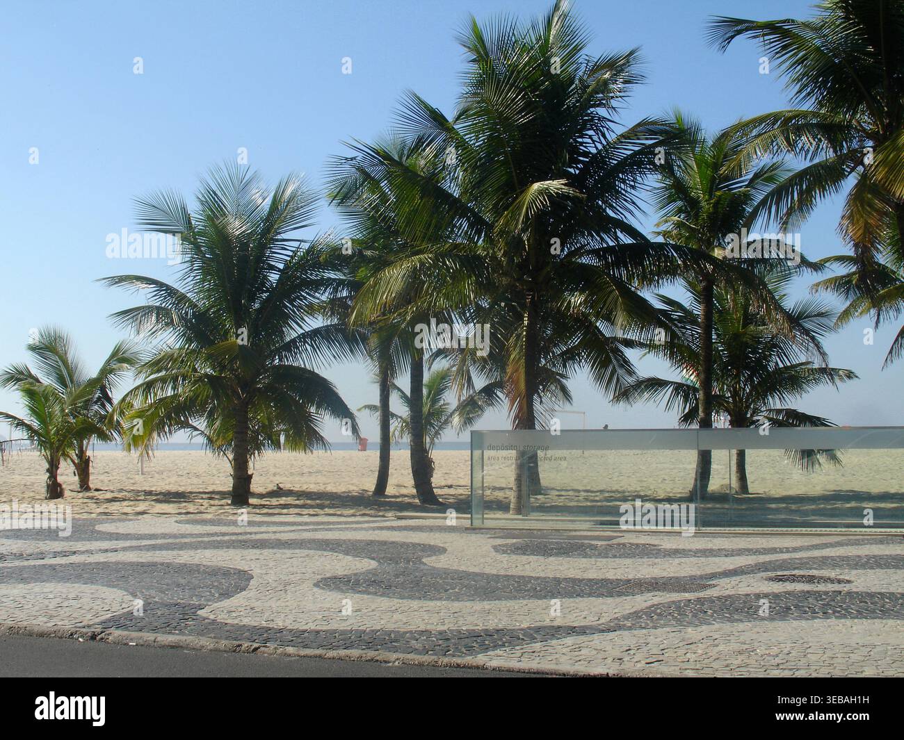 Cocotiers, plage, Copacabana, Rio de Janeiro, Brésil Banque D'Images