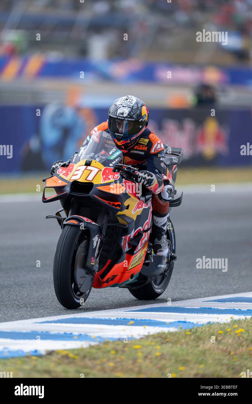 Jerez de la Frontera, Espagne. 25 avril 2026. Pilote #37 Pedro Acosta (Red Bull KTM Factory Racing) lors des qualifications MotoGP au Estrella Galicia 0,0 Grand Prix d'Espagne 2026 au Circuito de Jerez Angel Nieto. Banque D'Images