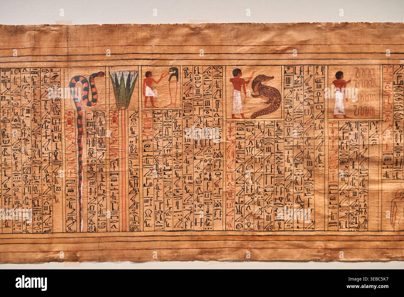 Une vue rapprochée d'un rouleau de papyrus égyptien antique affiché horizontalement. Le papyrus brun vieilli présente des colonnes verticales de hiéroglyphes noirs Banque D'Images