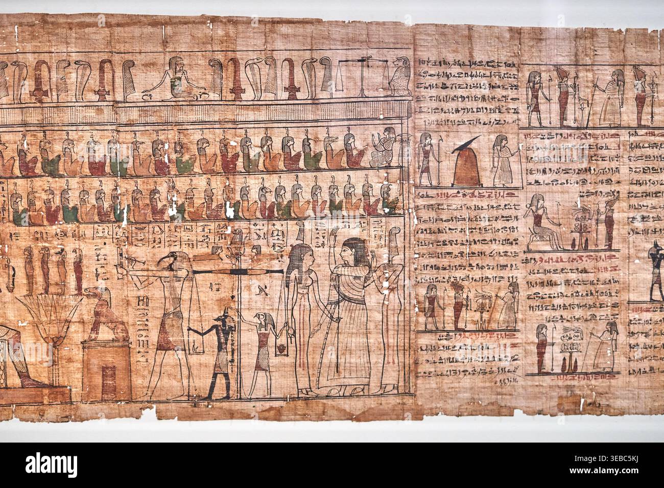 Papyrus égyptien ancien du Livre des Morts exposé horizontalement, représentant la cérémonie de la Pesée du Cœur avec hiéroglyphe Banque D'Images