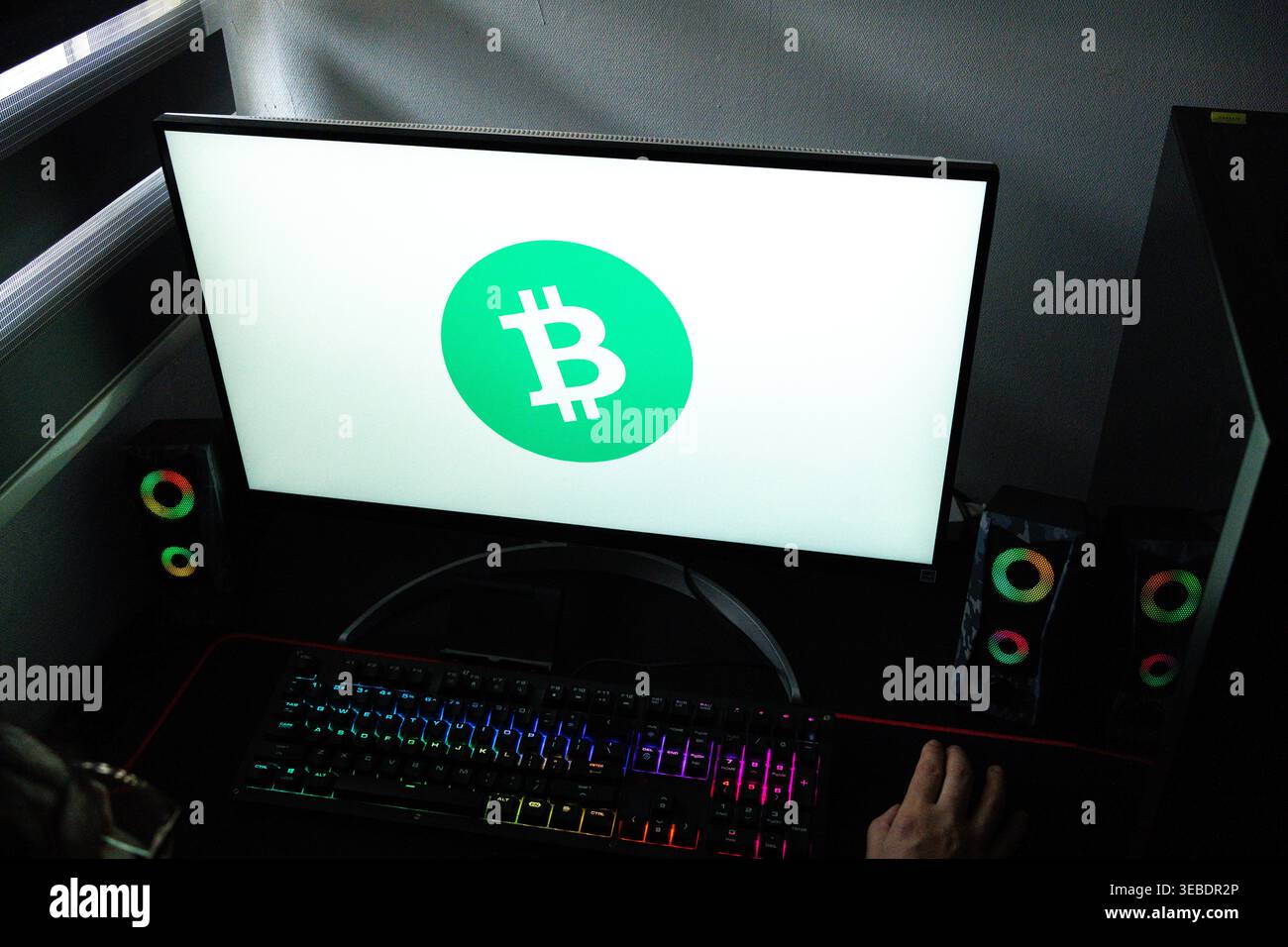 Une personne à un bureau avec le logo de crypto-monnaie Bitcoin Cash (BCH) vert affiché sur un écran d'ordinateur Banque D'Images