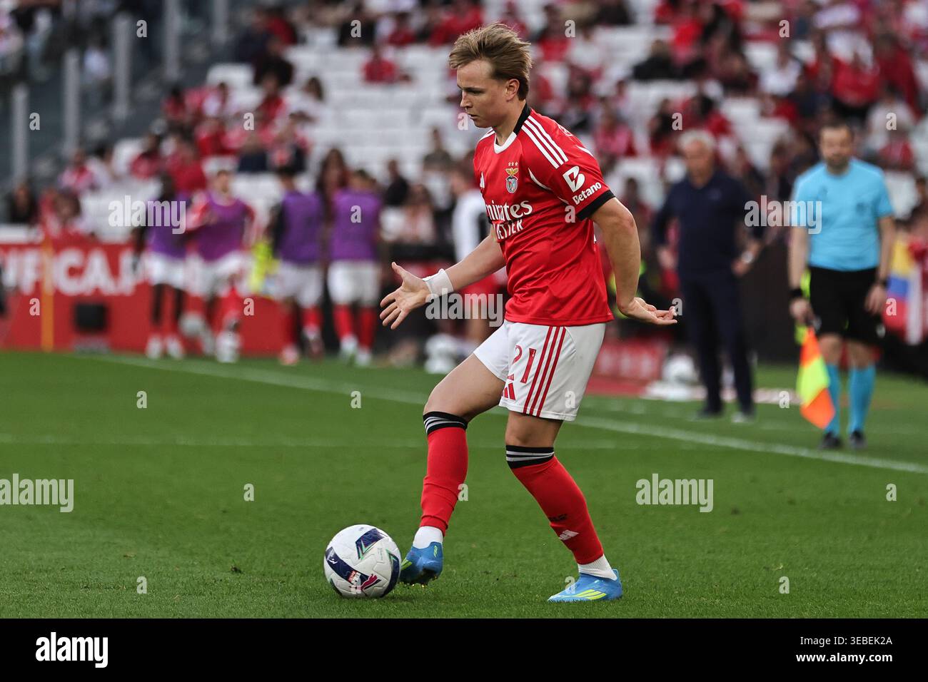 Lisbonne, Portugal. 25 avril 2026. Andreas Schjelderup de SL Benfica lors du match de Liga Portugal Betclic entre SL Benfica et Moreirense FC a joué au Sport Lisboa e Benfica Stadium le 25 avril 2026 à Lisbonne, Portugal. (Photo de Pedro Reis/PRESSINPHOTO) crédit : AGENCE SPORTIVE PRESSINPHOTO/Alamy Live News Banque D'Images