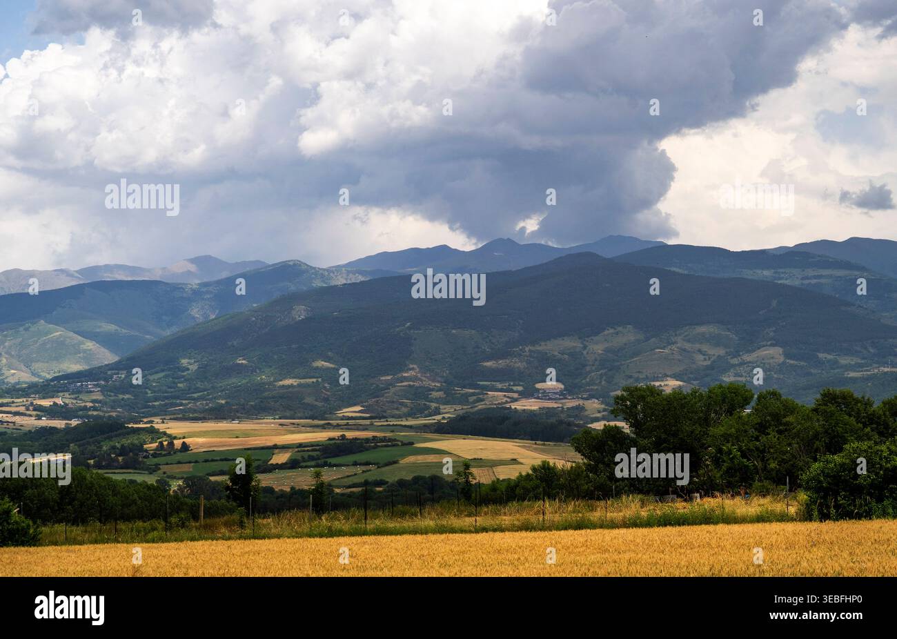 Vaste paysage rural avec champ doré, collines verdoyantes et montagnes bleues lointaines sous des nuages de tempête dramatiques. Banque D'Images