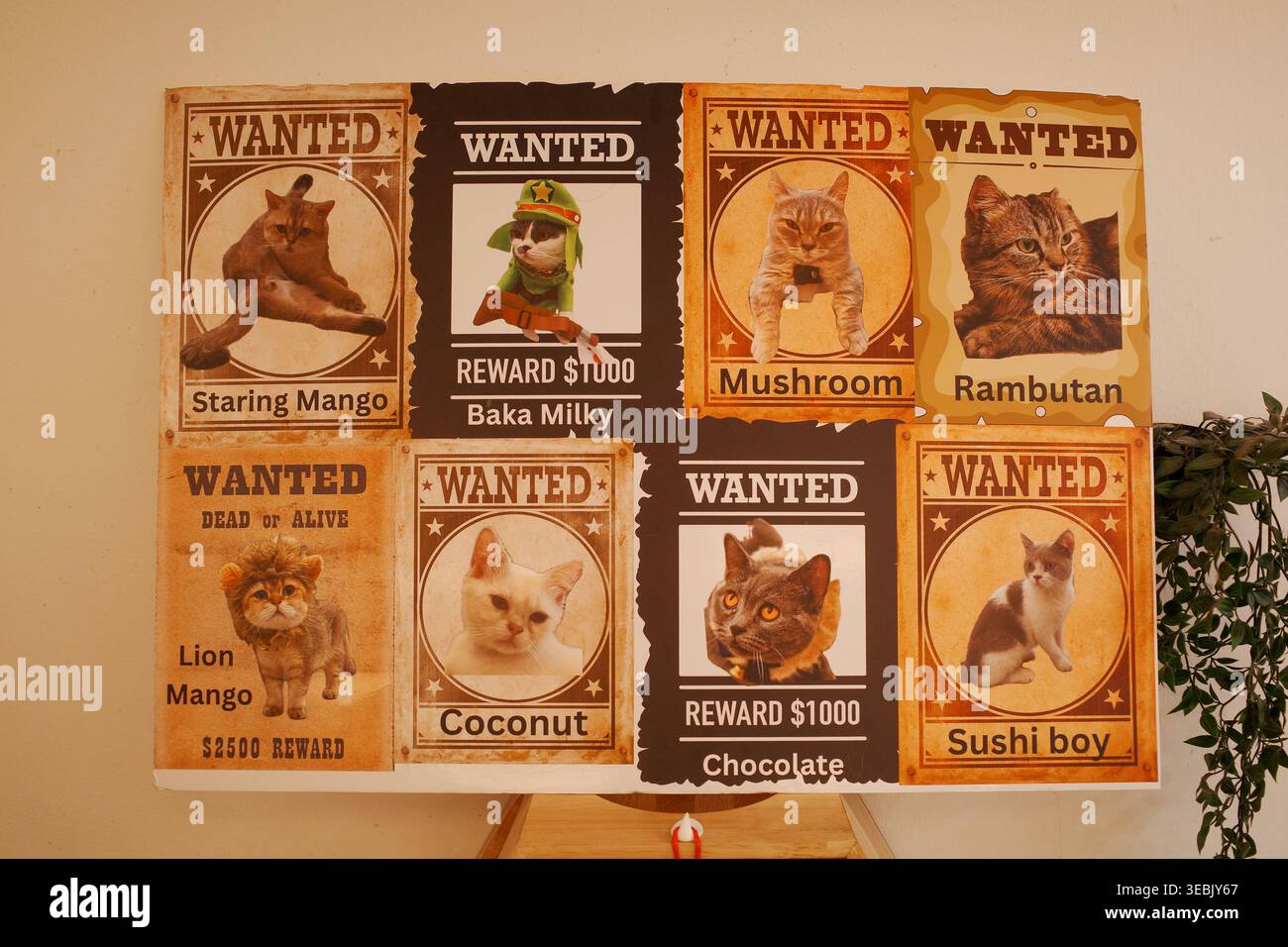 Les affiches recherchées représentent des chats et un chien. Chaque affiche a un animal et un texte uniques. Les animaux regardent le spectateur avec curiosité. Le design utilise le style vintage Banque D'Images