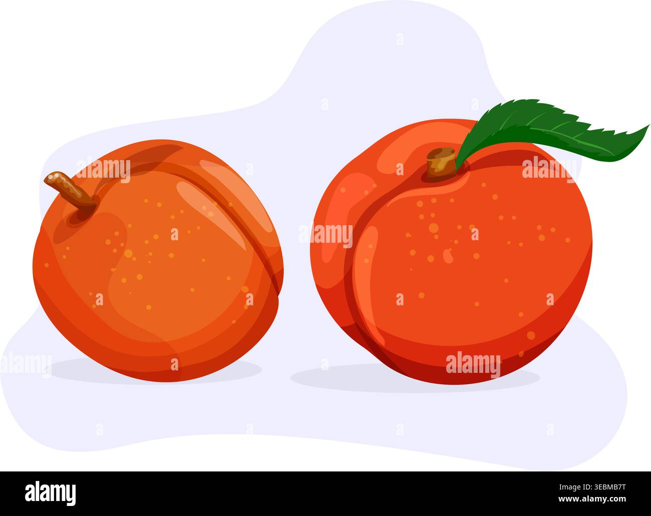 Deux pêches mûres brillantes avec feuille dans un style vectoriel vibrant isolé sur fond doux, parfait pour la nourriture et les thèmes de conception. Illustration de Vecteur