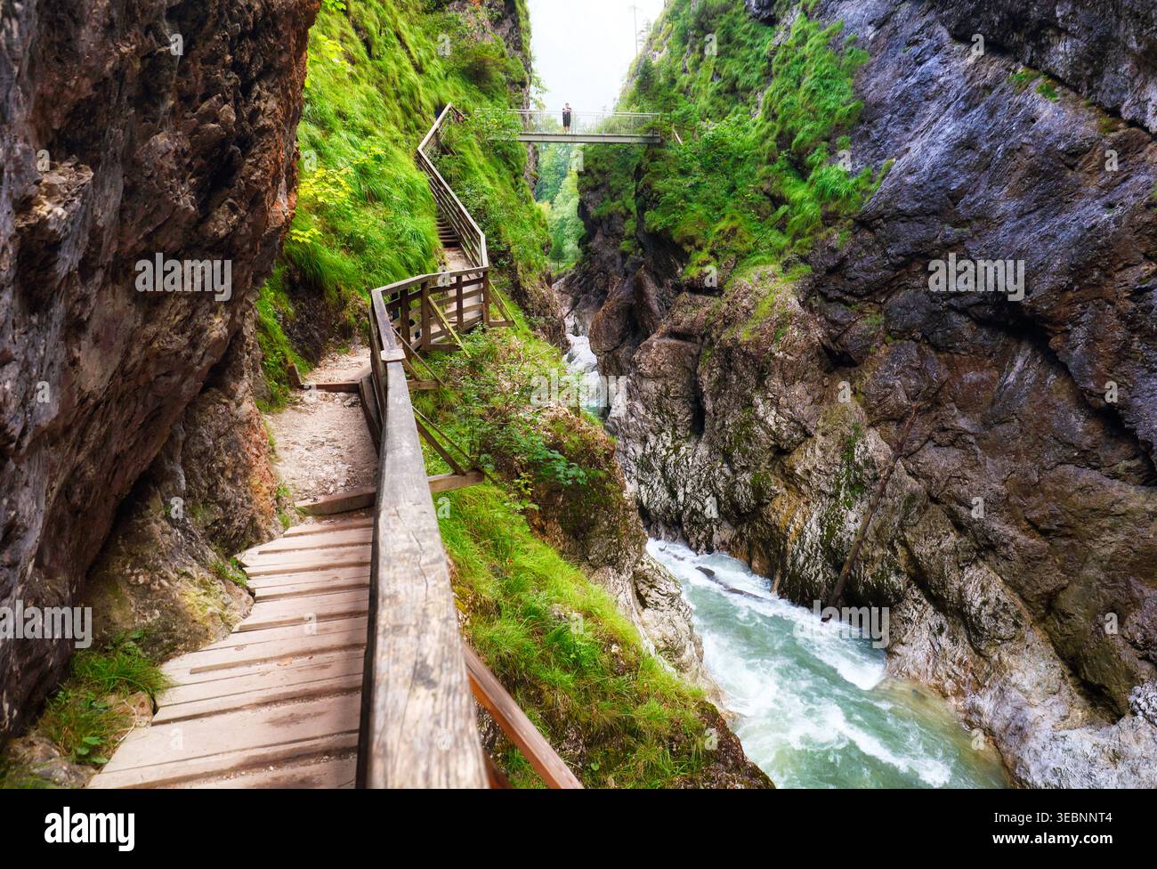 Gorge de Lammerklamm dans la région de Salzkammergut en haute-Autriche. Rivière alpine bleue entre les falaises rocheuses étroites couvertes de végétation verte et d'arbres. PPB Banque D'Images