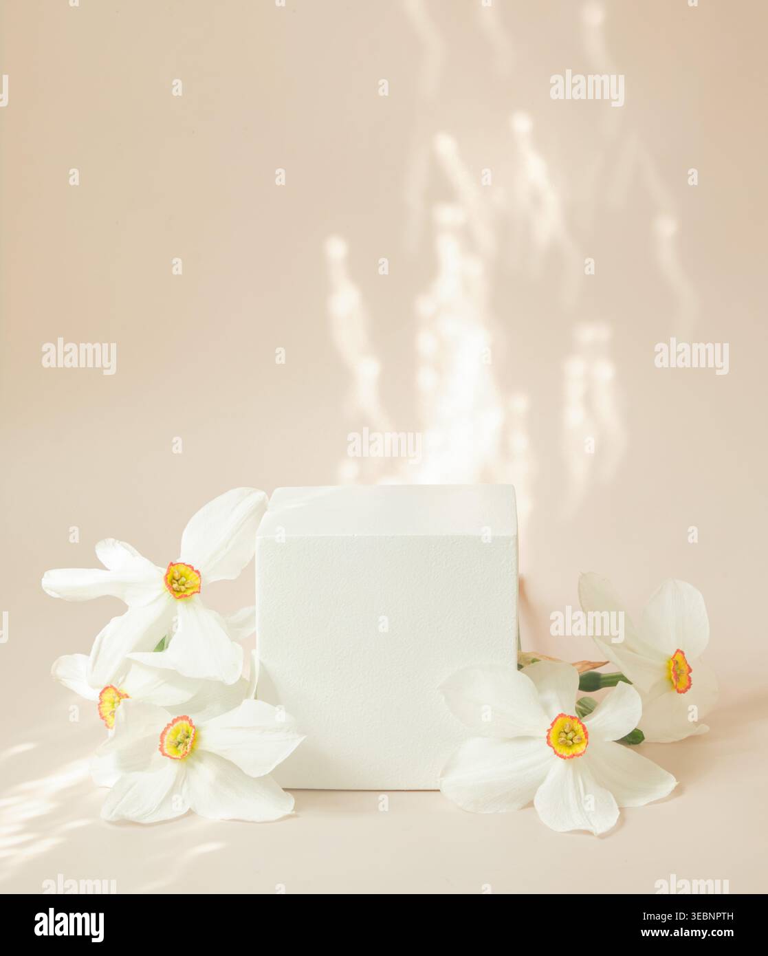 Podium cosmétique minimal avec jonquilles sur fond beige chaud, reflets de lumière douce, affichage de produit propre, espace de copie. Banque D'Images