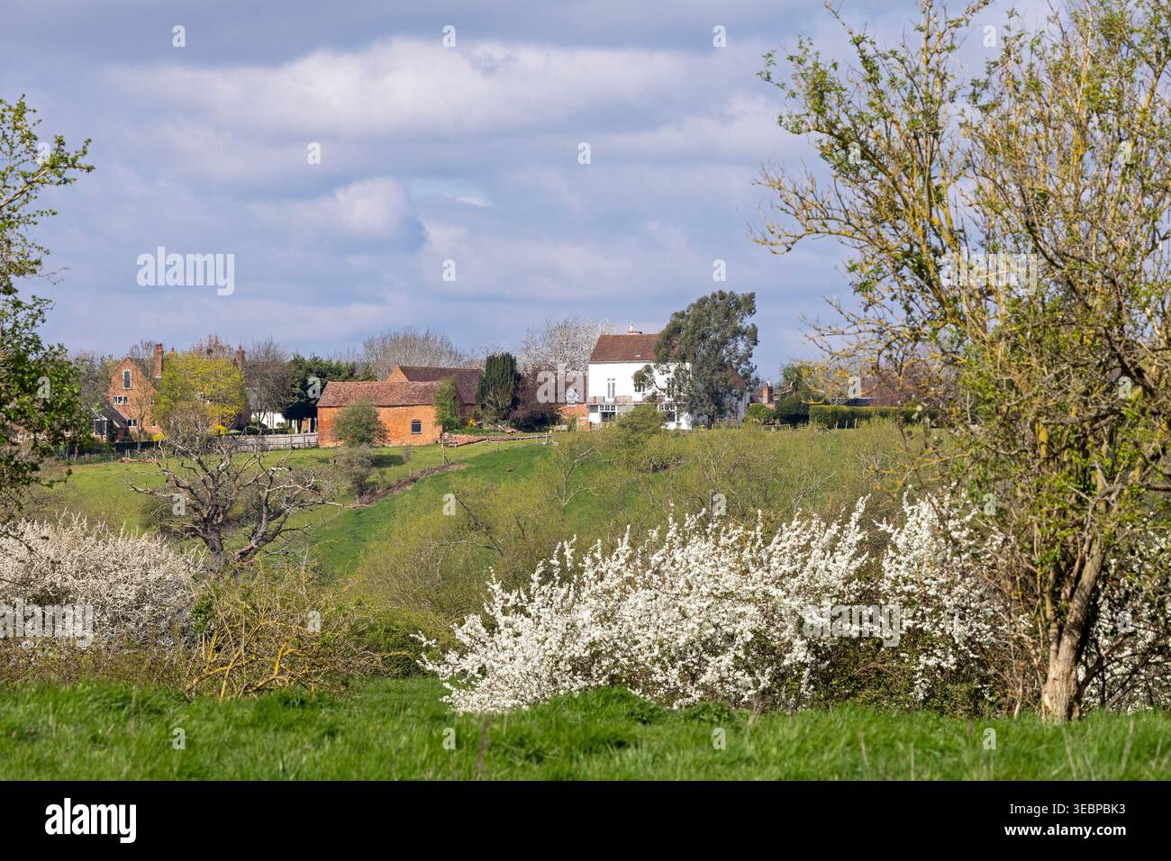 Häuser in Ländlicher Idylle, Alveston, Stratford-upon-Avon, Warwickshire, England, Großbritannien | maisons, campagne idyllique, Alveston, Stratford-U. Banque D'Images