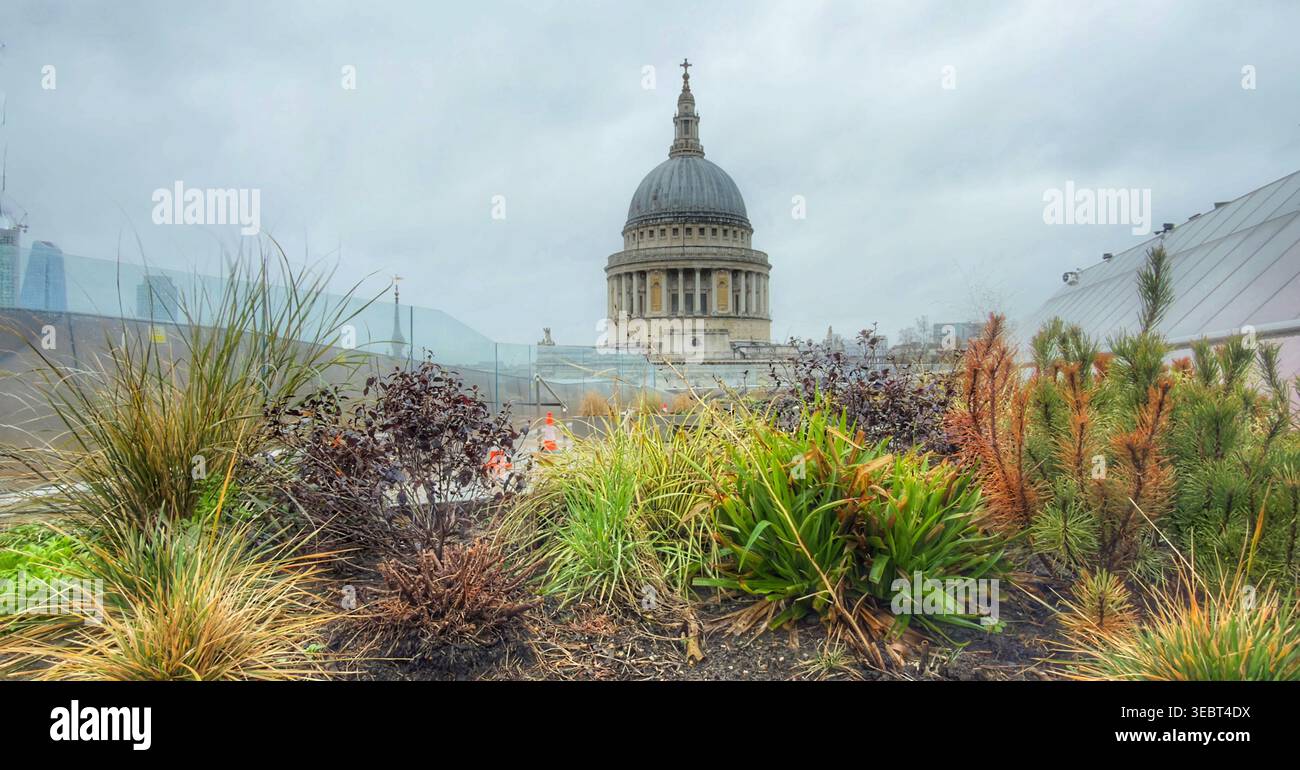 St Pauls vue inhabituelle Banque D'Images
