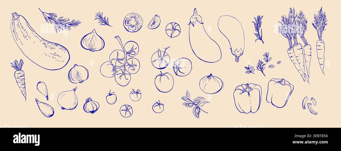 Vecteur d'illustration de nourriture de ligne dessinée à la main. Légumes et herbes, épices. Nourriture agricole. Alimentation saine Illustration de Vecteur