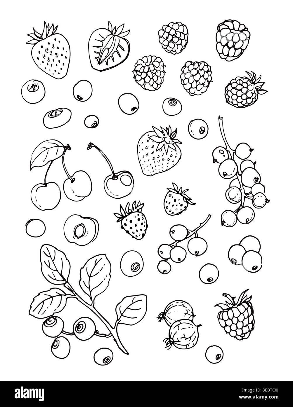 Croquis vectoriel de nourriture. Baies, bleuets, cerises, fraises, groseilles Illustration de Vecteur