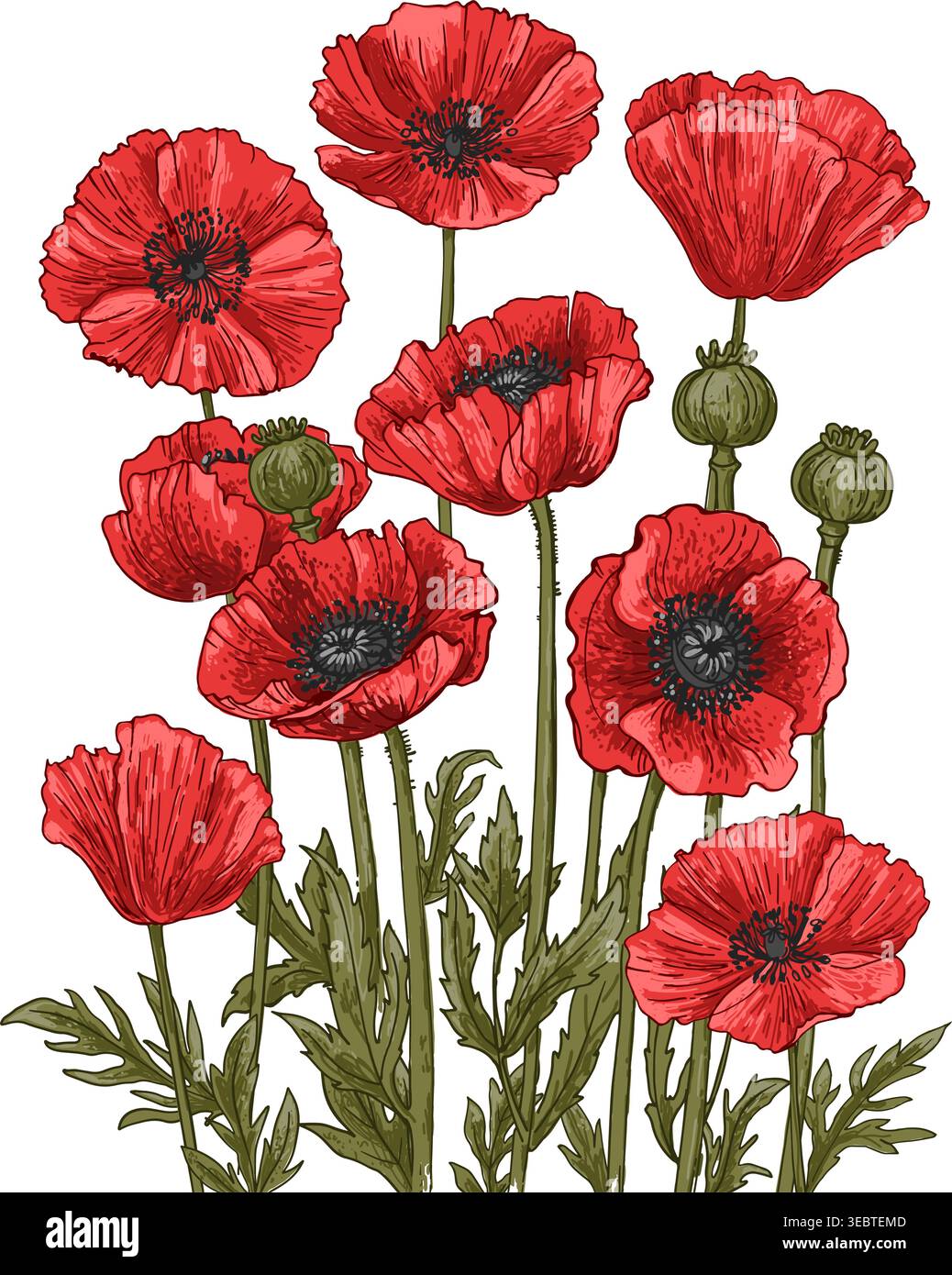 Croquis de fleurs. Dessin de lignes vectorielles de fleurs. Dessiné par une ligne noire sur fond blanc. Illustration de Vecteur