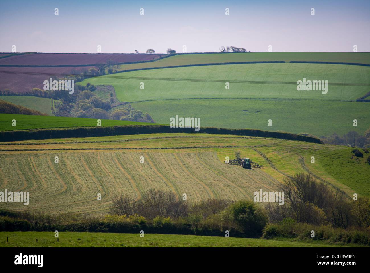 Tracteur travaillant dans le champ labouré dans la campagne vallonnée de Cornouailles près de Looe Banque D'Images