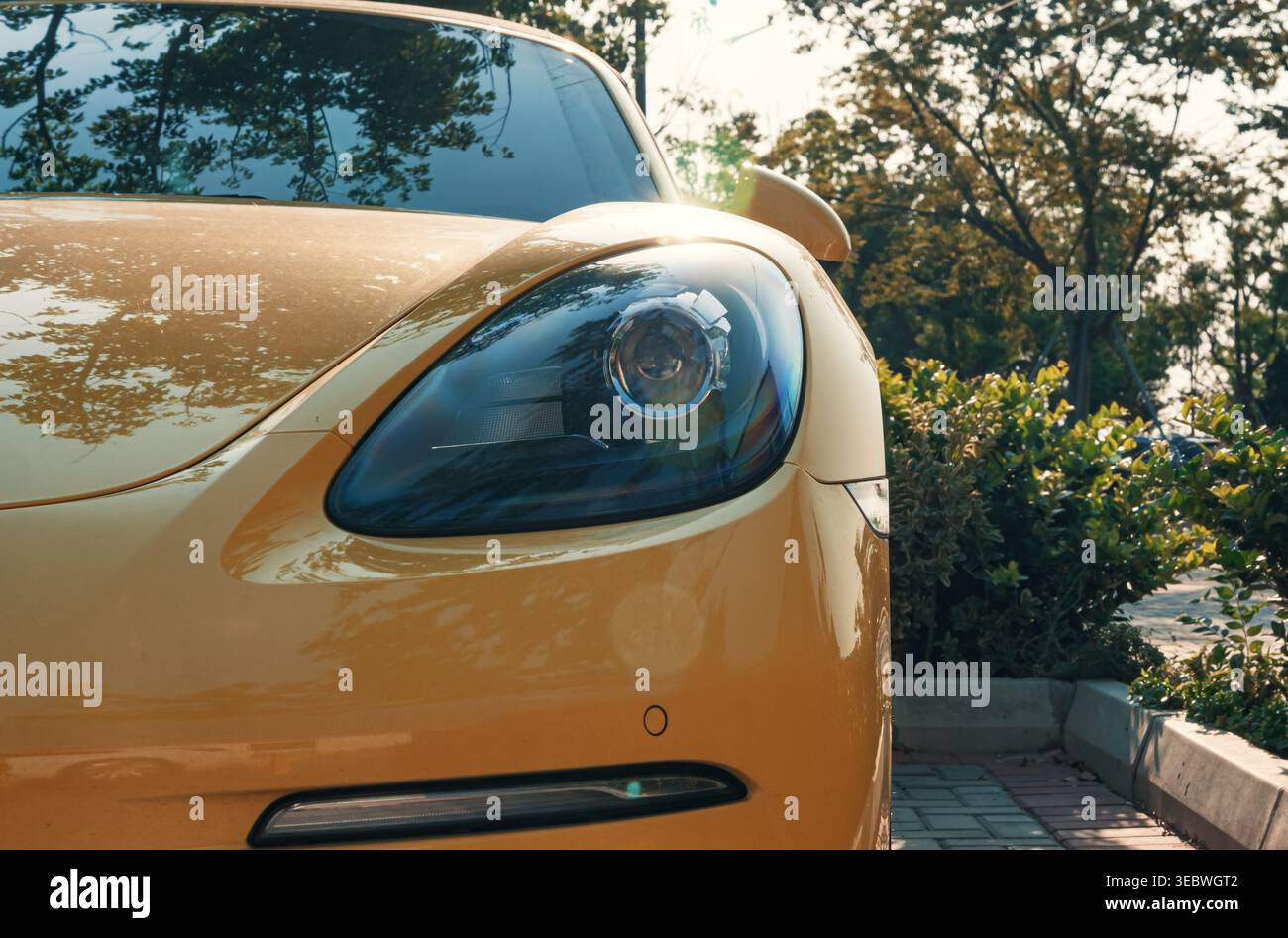 Vue rapprochée d'une voiture de sport jaune vif garée au milieu d'une végétation luxuriante par une journée ensoleillée Banque D'Images