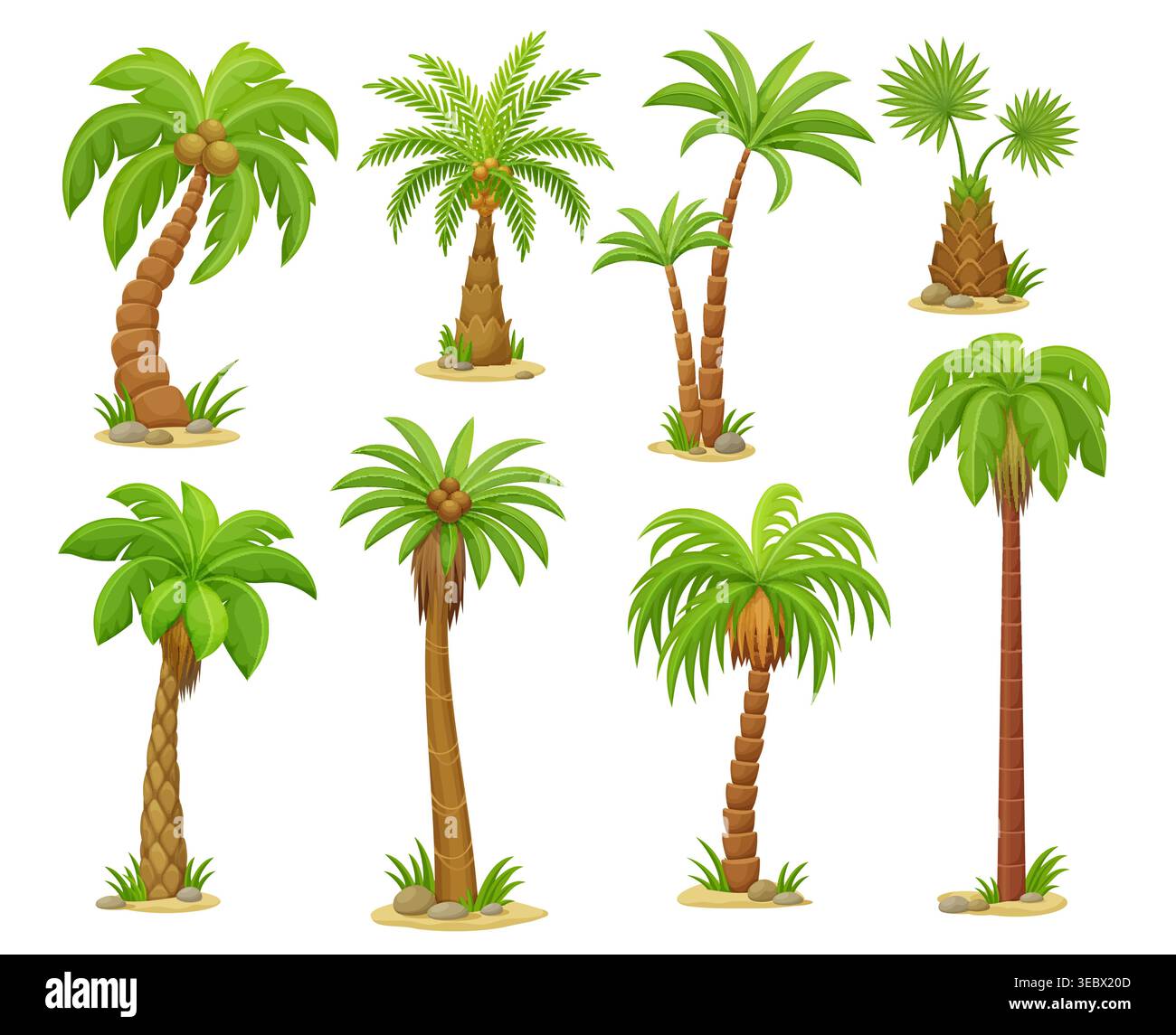 Espèces de palmiers tropicaux de dessins animés avec des troncs courbés, des feuilles vertes luxuriantes, des noix de coco, un sol sablonneux et des pierres. Vecteur éléments de nature d'été, plantes exotiques de plage de l'île, symbole de voyage ou de vacances Illustration de Vecteur