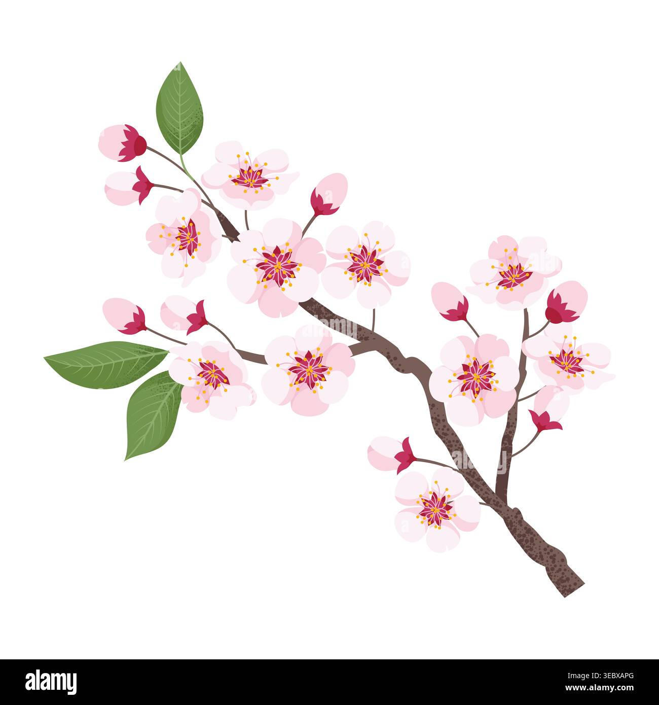Branche de fleurs de cerisier. Illustration vectorielle dans un style plat dessiné à la main Illustration de Vecteur