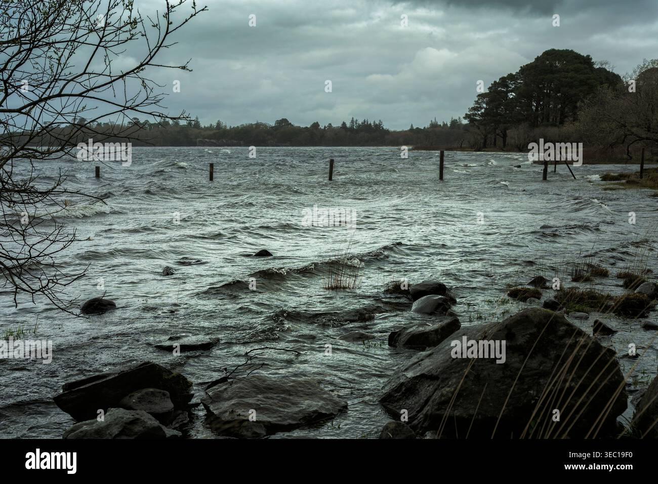 Paysage lacustre mais brut et puissant en Irlande avec des vagues et des nuages sombres sur le lac Muckross Kerry Irlande. Banque D'Images