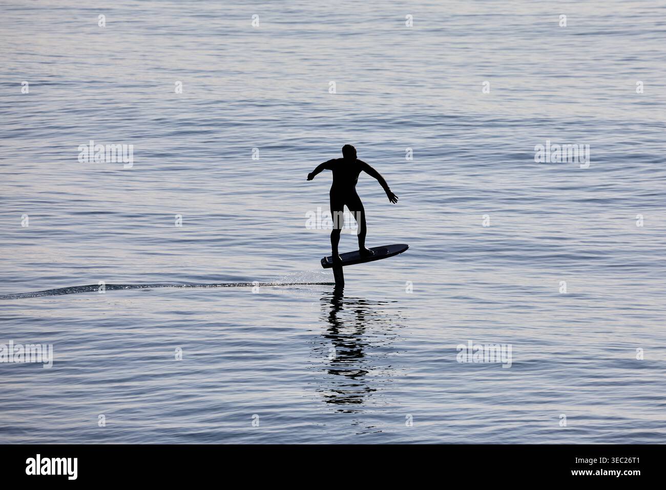 Un surfeur se déplace à travers la mer du matin, en équilibre sur une planche de surf en hydrofoil. Les planches d'hydroptère utilisent une aile pour le levage, permettant de glisser au-dessus de l'eau. Banque D'Images