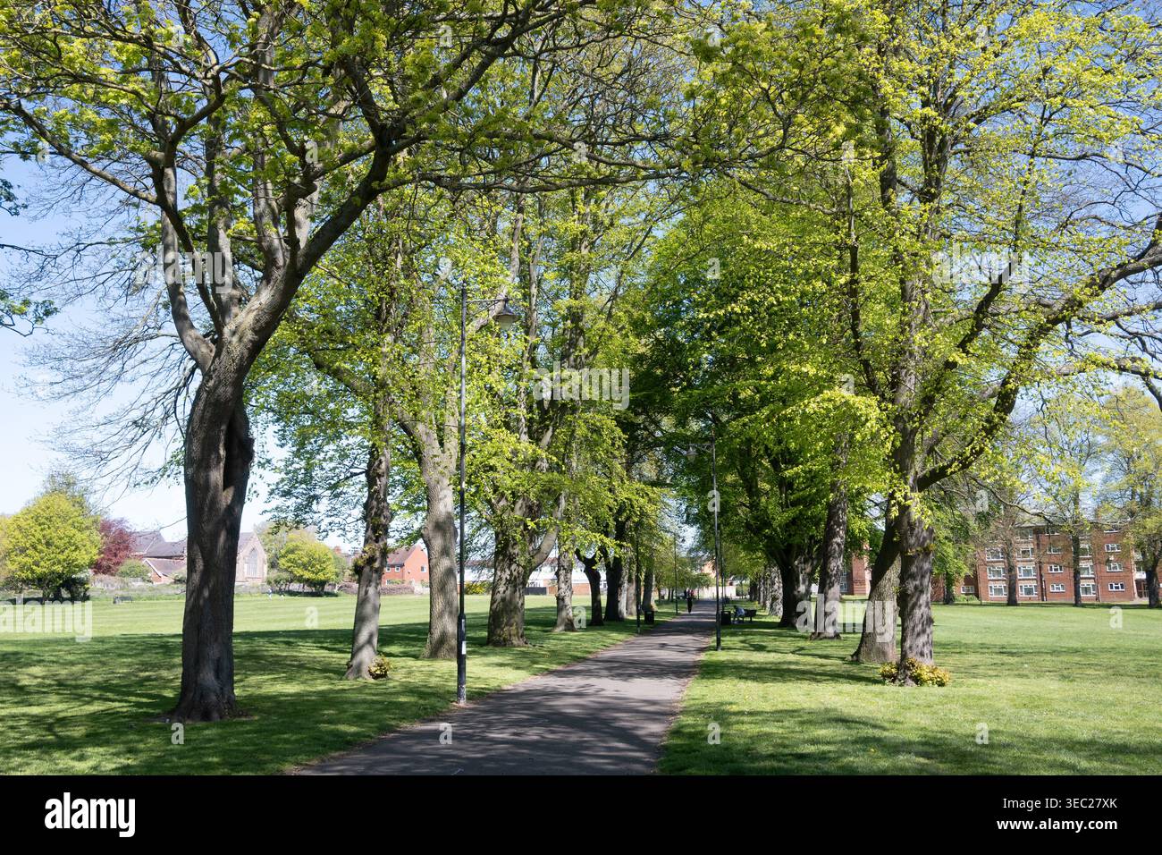 The Recreation Ground au printemps, Nuneaton, Warwickshire, Angleterre, Royaume-Uni Banque D'Images