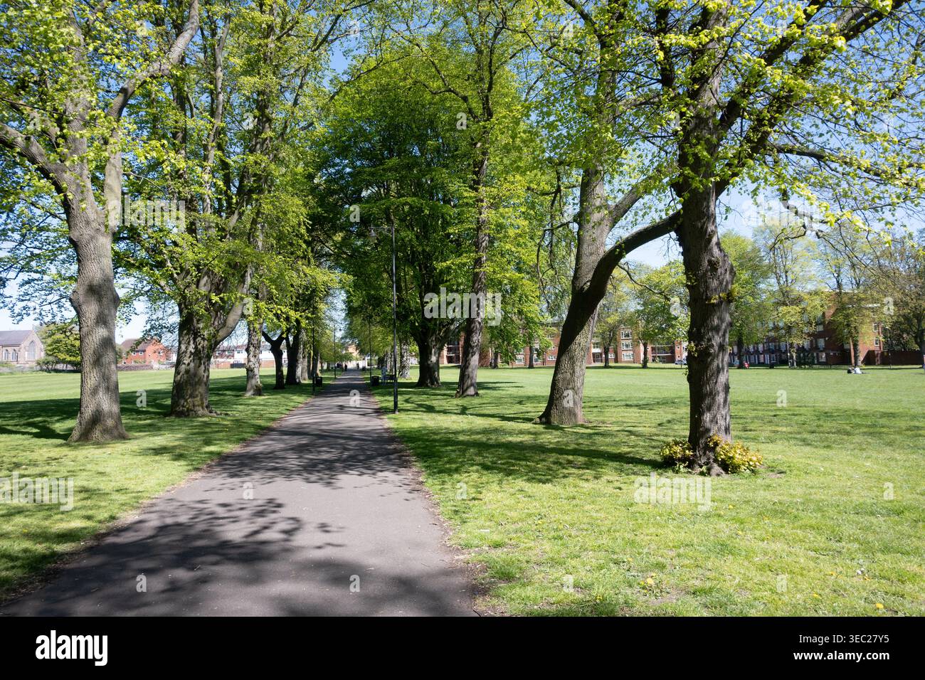 The Recreation Ground au printemps, Nuneaton, Warwickshire, Angleterre, Royaume-Uni Banque D'Images