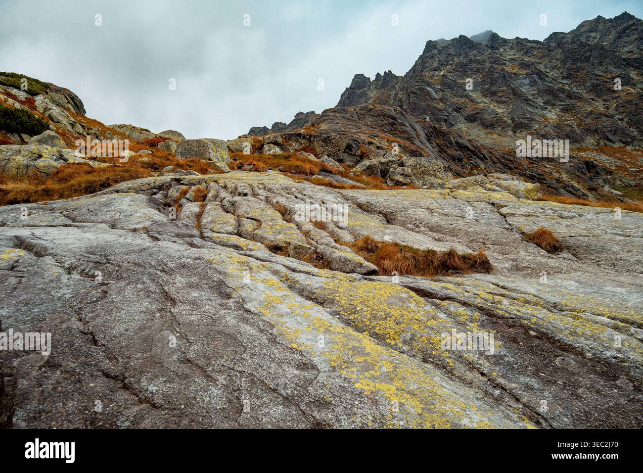 Détails du paysage rocheux. Terrain automnal avec textures de mousse. Dalles de granit et lichen avec toile de fond Moody Sky Banque D'Images