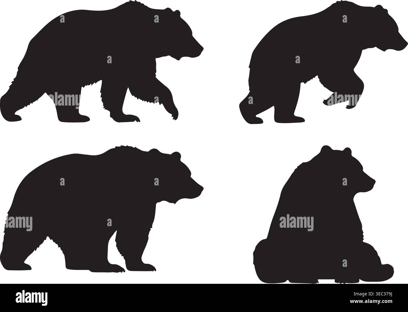 Bear Silhouette Vector Set avec des poses de marche et assise Illustration de Vecteur