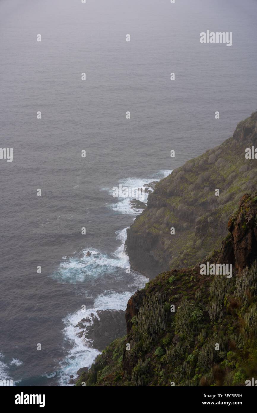 Falaises de mer brumeuses avec des vagues s'écrasant contre la côte verte accidentée Banque D'Images