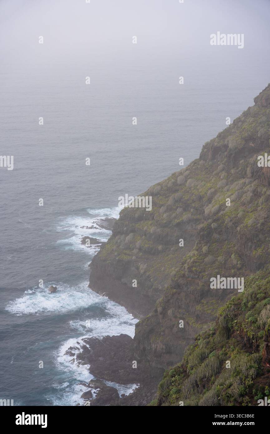 Falaises de mer brumeuses avec des vagues s'écrasant contre la côte verte accidentée Banque D'Images