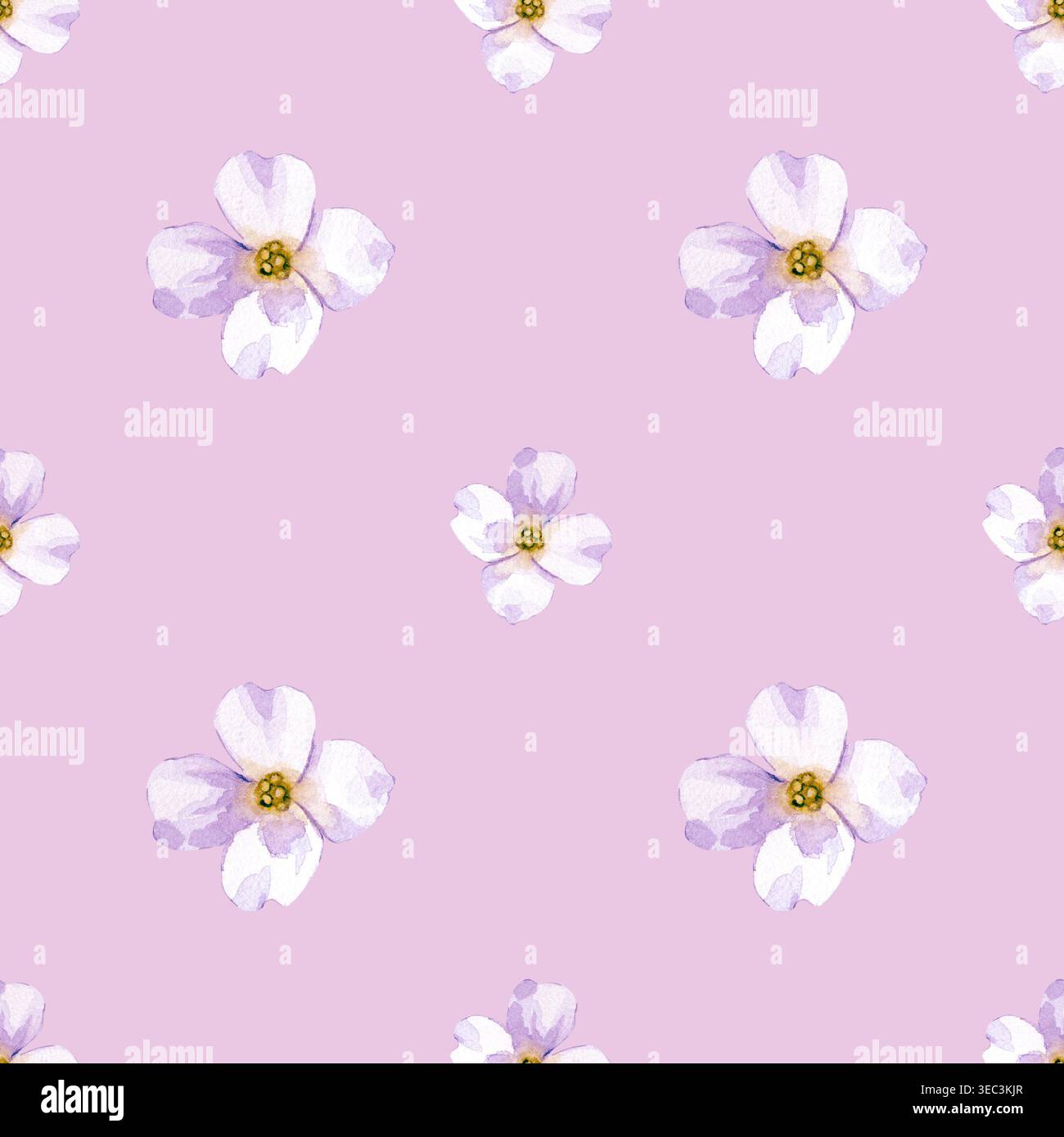 Motif botanique sans couture avec de petites fleurs d'aquarelle blanche. Illustration aquarelle sur un fond rose. Pour textiles, papier peint, papeterie Banque D'Images