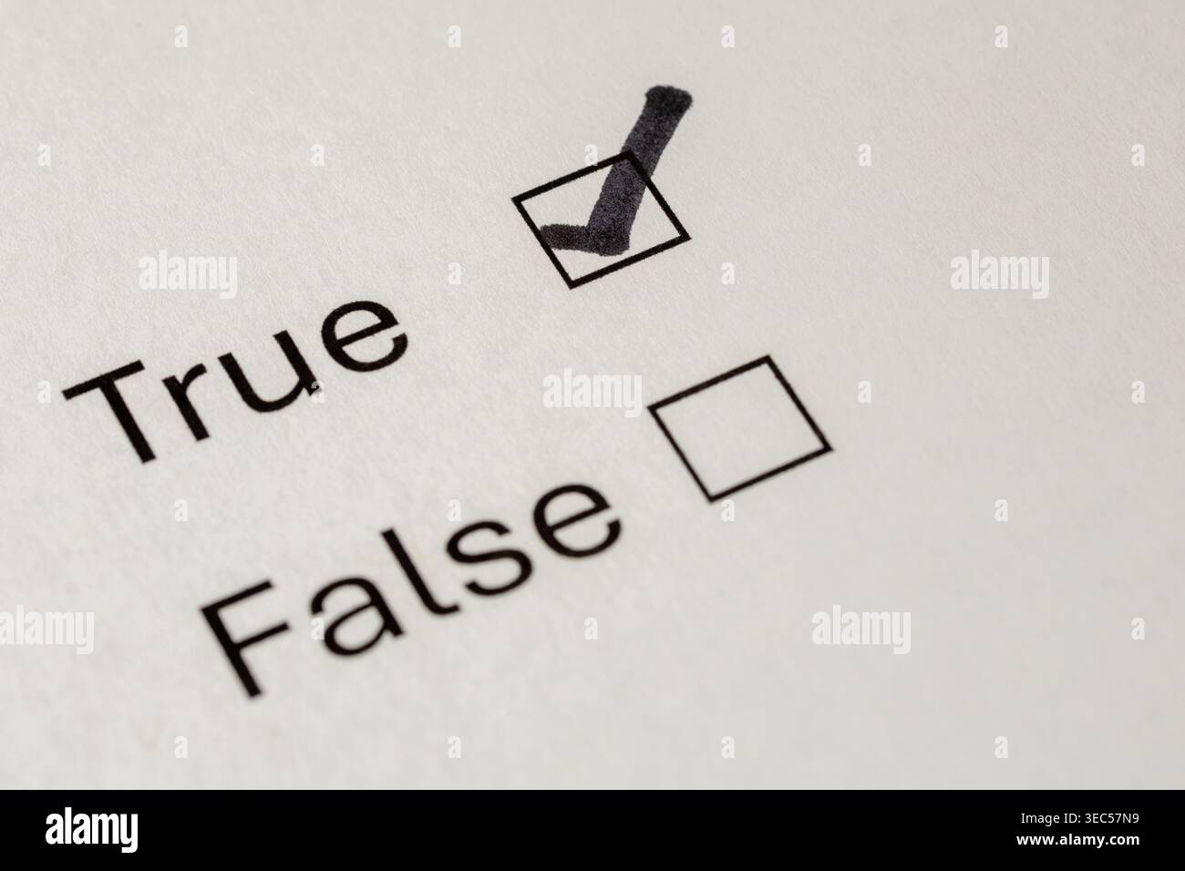 Gros plan du formulaire papier avec l'option vrai ou faux, case vrai cochée Banque D'Images