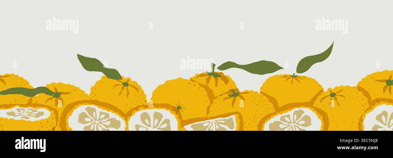 Bordure horizontale d'agrumes de yuzu avec des tranches de fruits et des feuilles dans l'illustration vectorielle de style asiatique dessinée à la main le long du bord inférieur de la composition non transparente Illustration de Vecteur