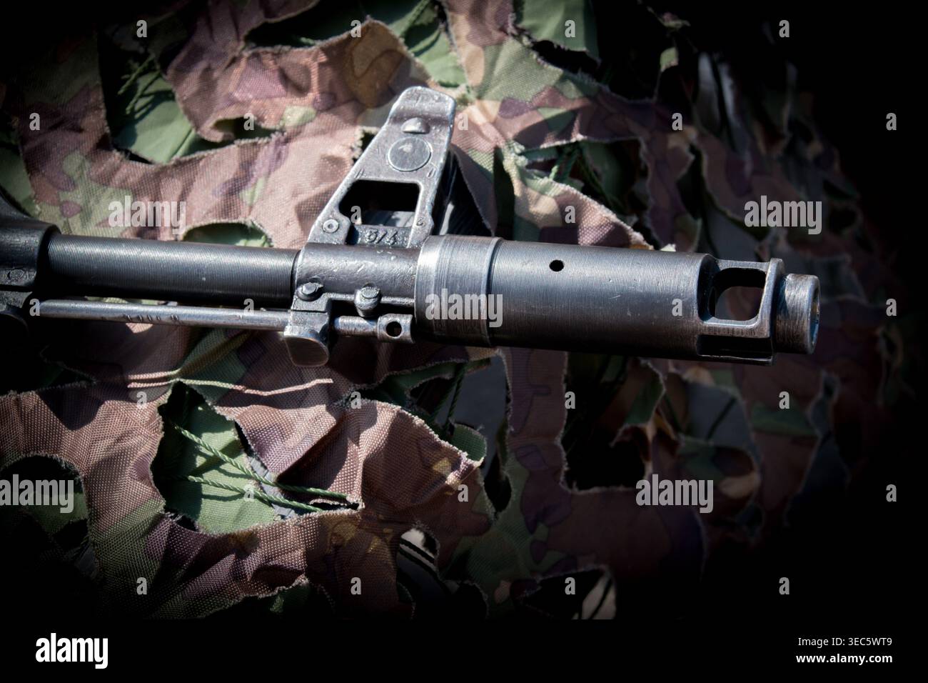 Un fusil d'assaut est une arme à feu sélective, peut tirer à la fois semi-automatique et automatique. Banque D'Images