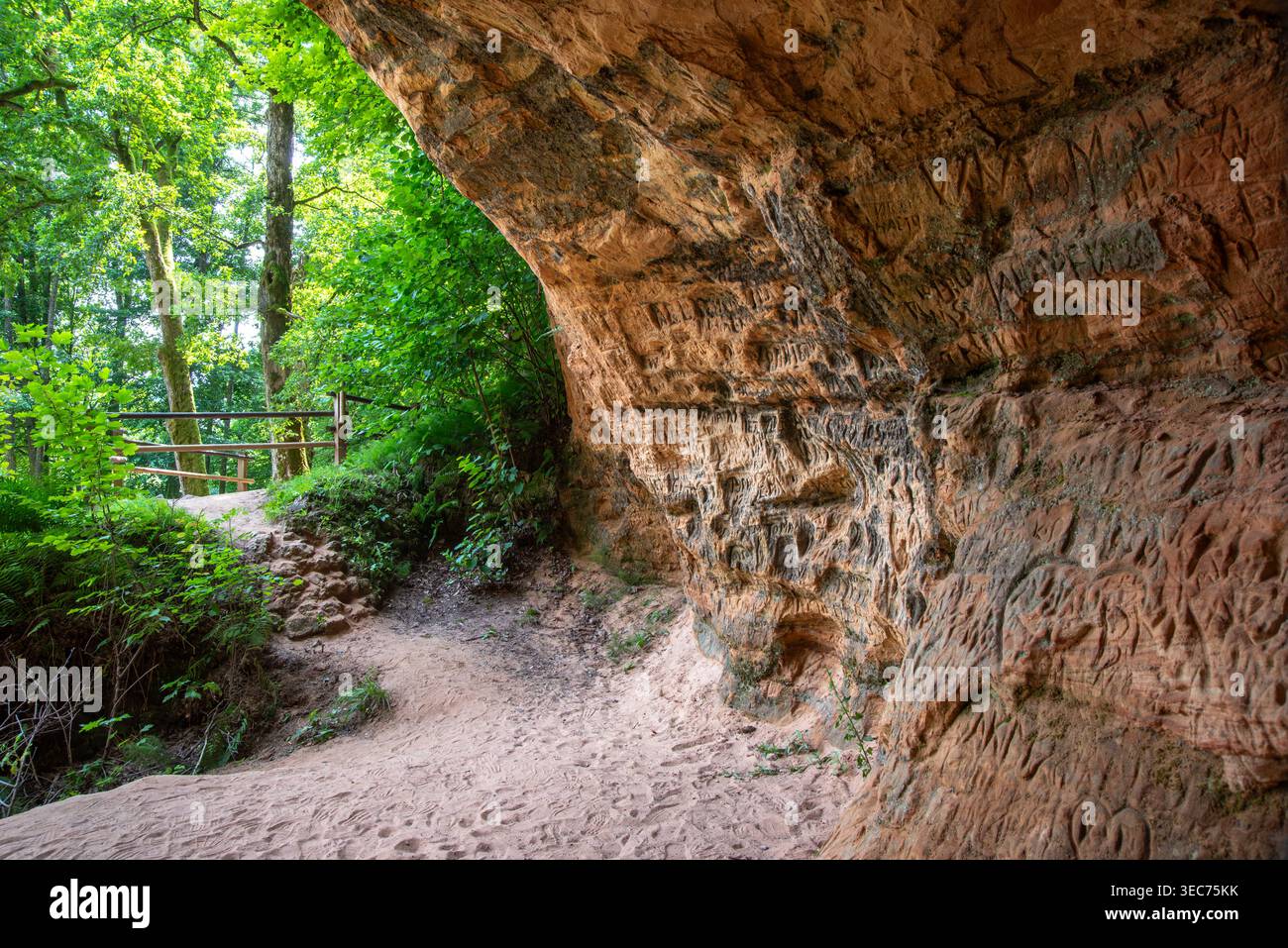 une belle grotte décrite dans un parc d'aras dans une journée ensoleillée Banque D'Images