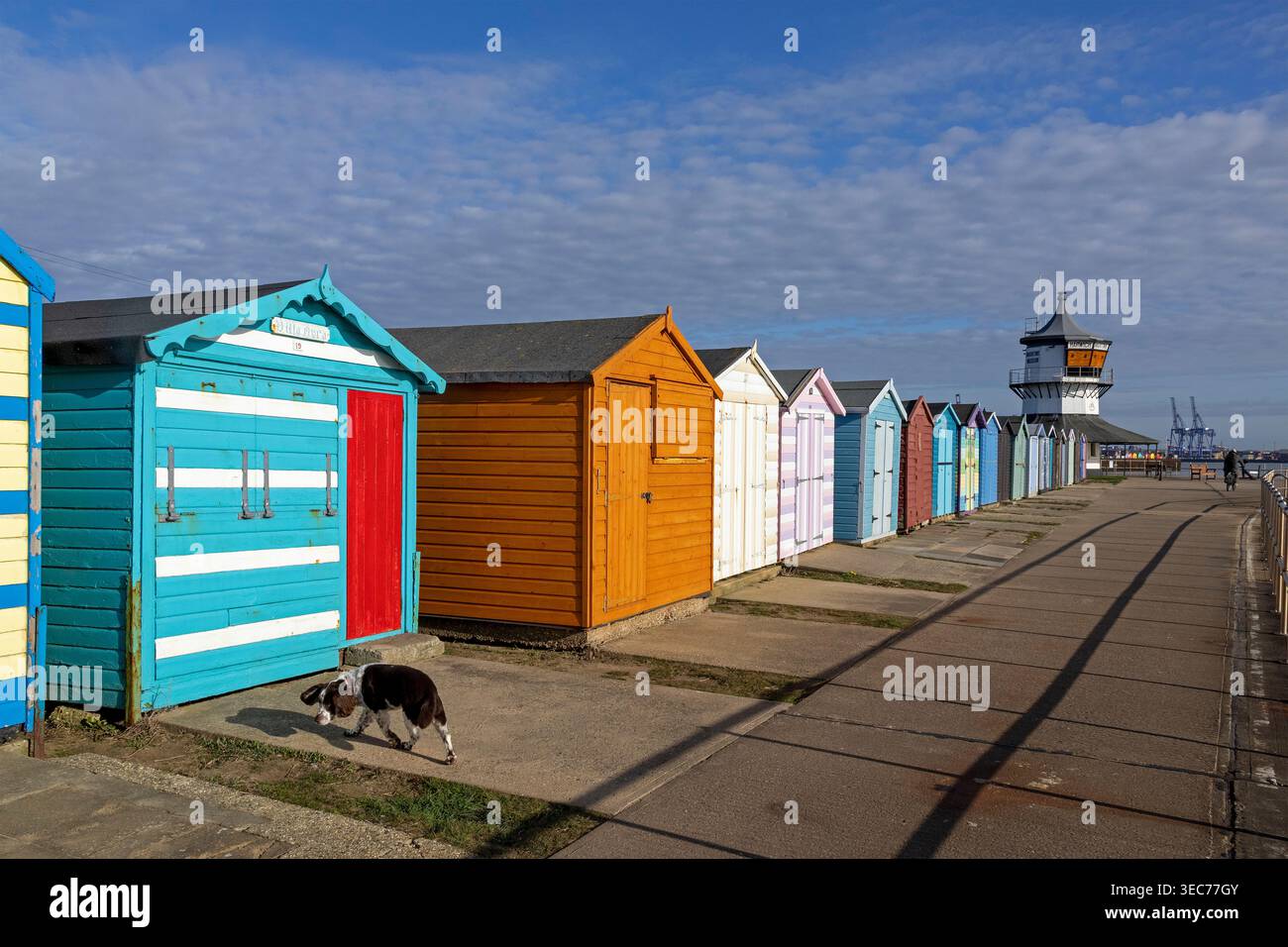 Bains colorés, chien, Low Lighthouse, Musée maritime, Harwich, Angleterre, Grande-Bretagne Banque D'Images