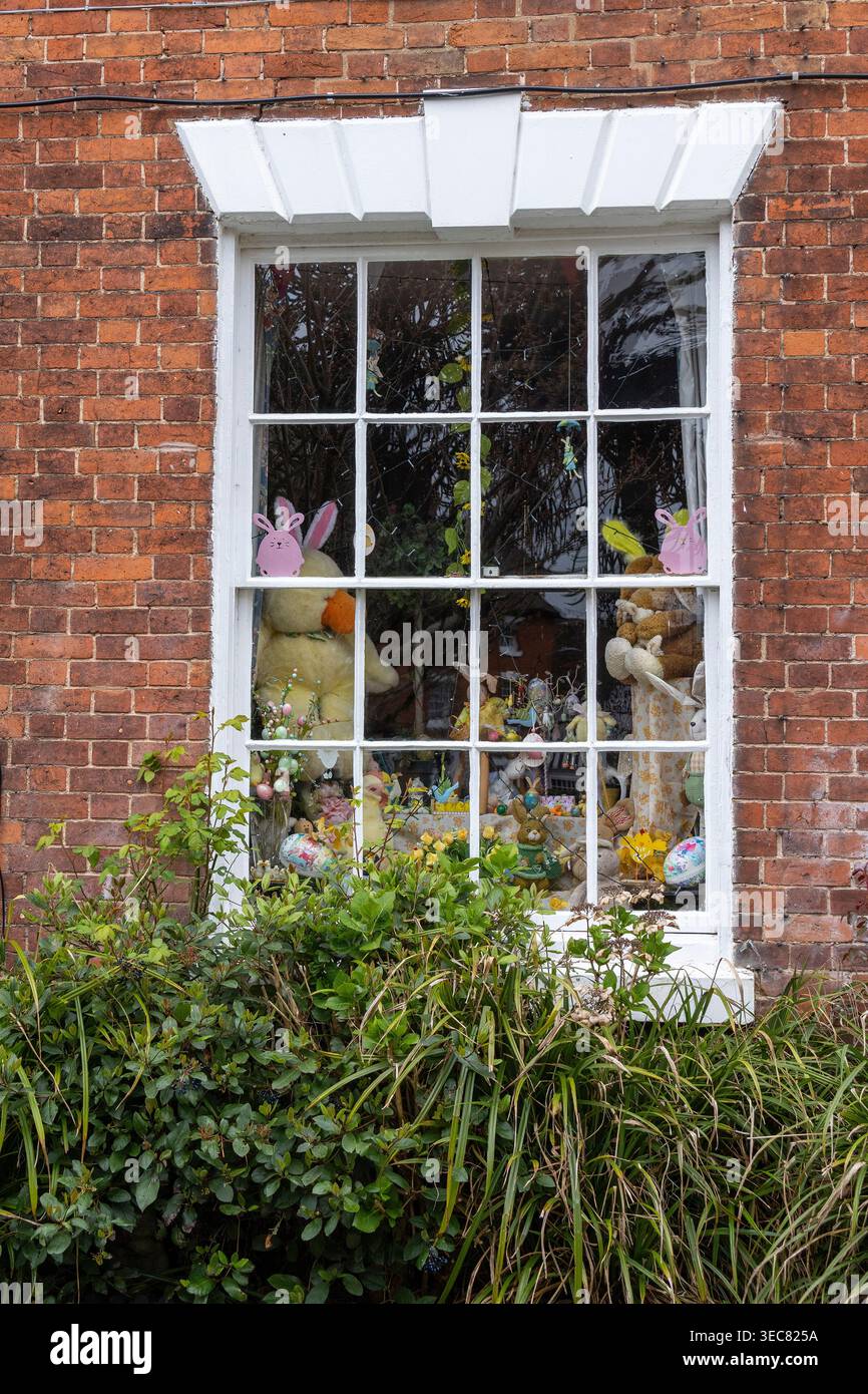 Fenêtre, jouets en peluche, Alcester, Angleterre, Grande-Bretagne Banque D'Images