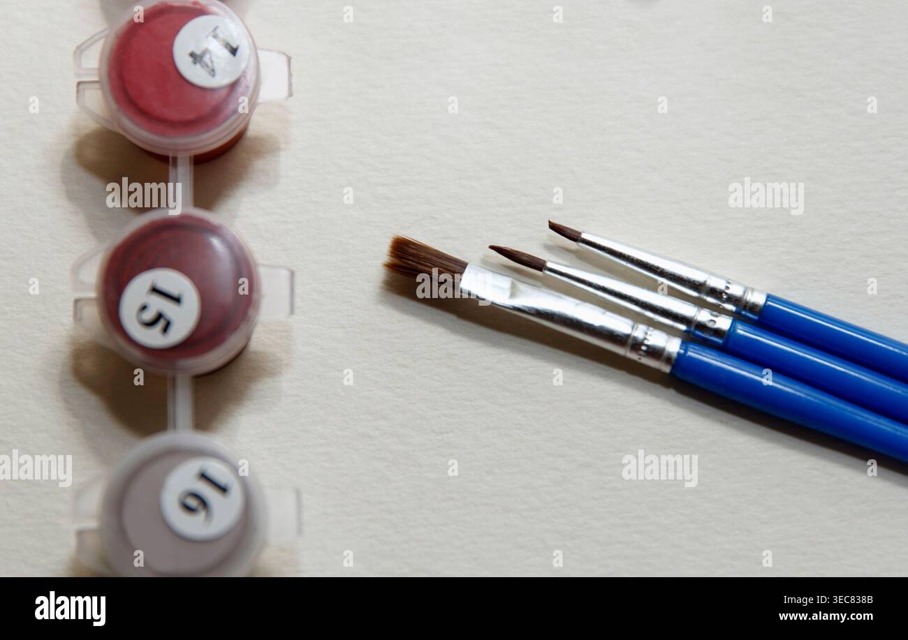 Fournitures d'art, y compris des récipients de peinture et des pinceaux disposés soigneusement sur une surface blanche. Diverses couleurs beautyful sont visibles dans de petits conteneurs Banque D'Images