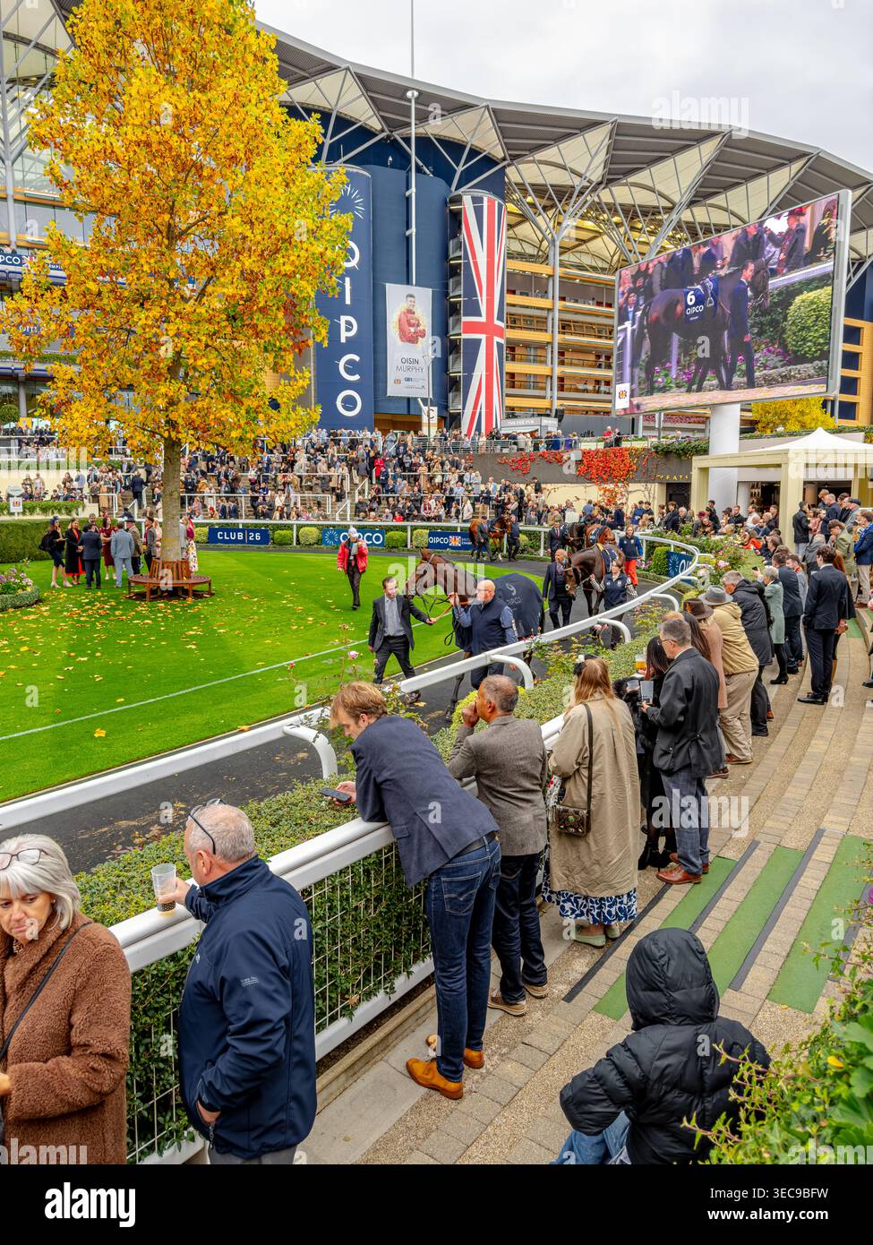 Les chevaux de course sont conduits autour du plateau de la parade avant une course de chevaux au QIPCO British Champions Day à Ascot Race course dans le Berkshire Banque D'Images