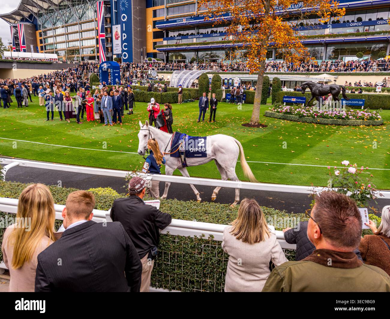 Estrange une jument de 5 ans, conduite autour du ring de parade avant une course de chevaux lors de la QIPCO British Champions Day à Ascot Race course dans le Berkshire Banque D'Images